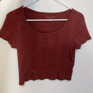 American Eagle Crop Top